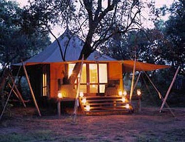 Ngala Tented Safari Camp