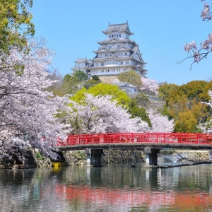 Туристы в Японии смогут жить в священных храмах